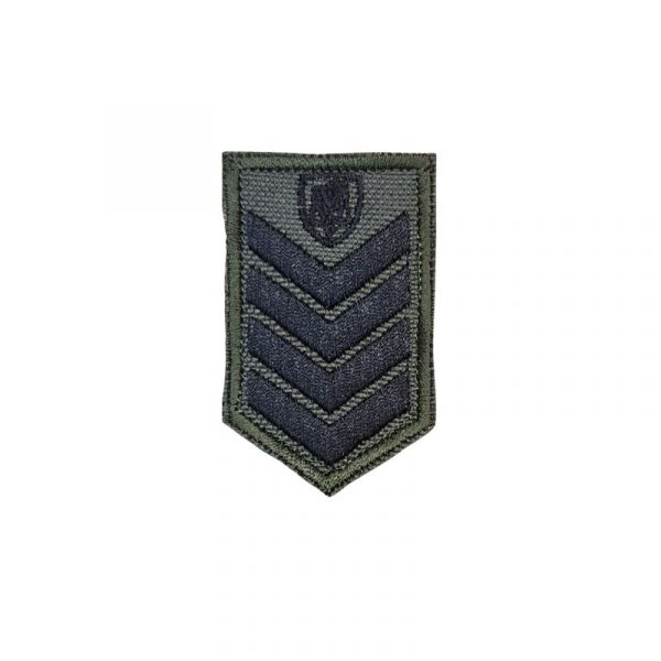 sima-petou-arxifulakas-anakritikos-me-velcro-ellinikis-astunomias-proagetai