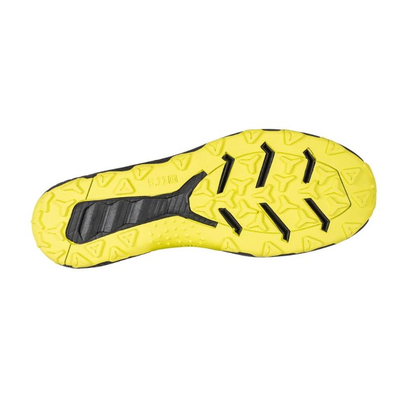 511-papoutsia-at-atlas-trainer-067-gunsmoke-12429